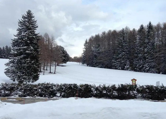 Melezes דירה קראנס-מונטנה